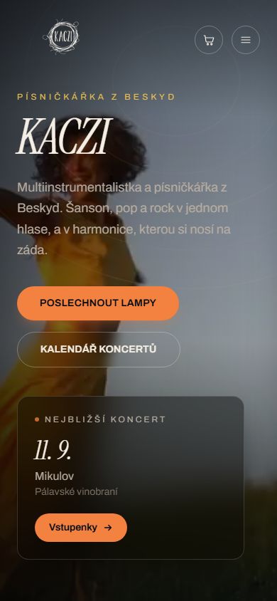 Hudebník / návrh